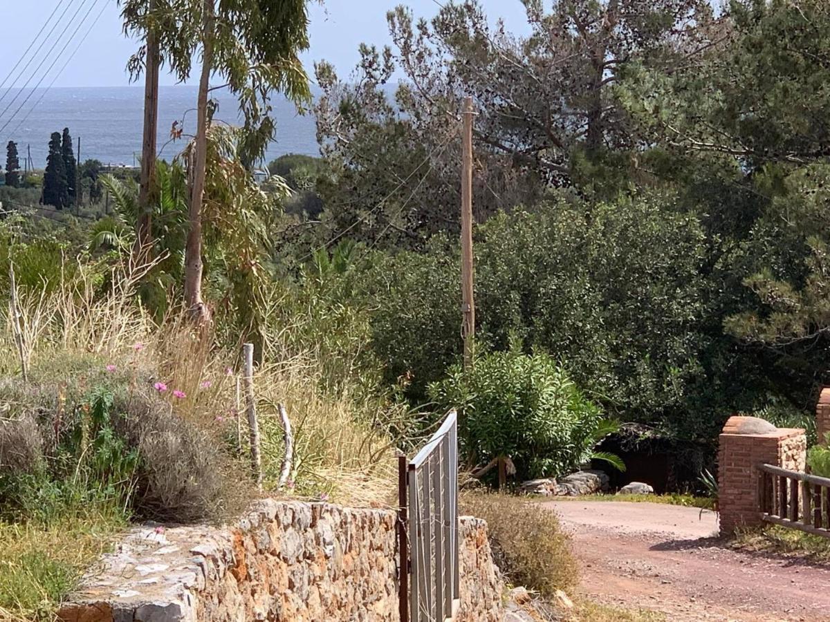 Villa Sea View Mesa Mpanta Káto Zákros Extérieur photo